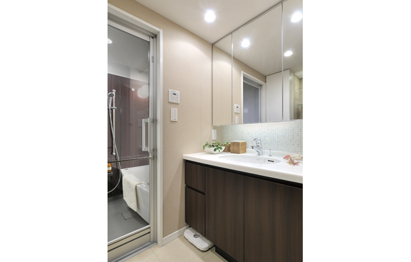 Wash room storage enhancement. Standard equipped with a bathroom ventilation dryer in the bathroom