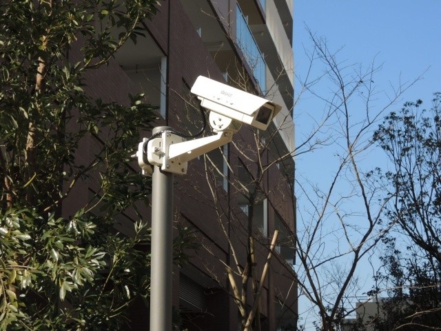 Security. Common areas, surveillance camera