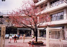 kindergarten ・ Nursery. Nakazato nursery school (kindergarten ・ 139m to the nursery)