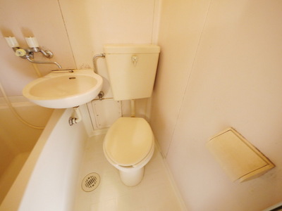 Toilet
