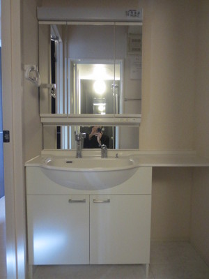 Washroom. The back of the mirror is a rear storage.