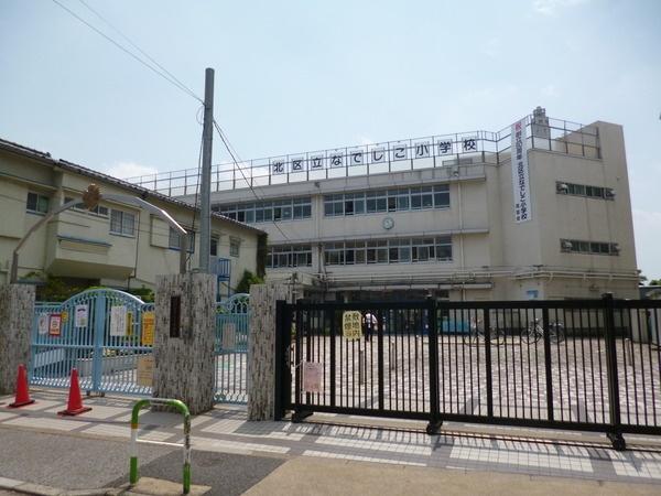 Other. Nadeshiko elementary school