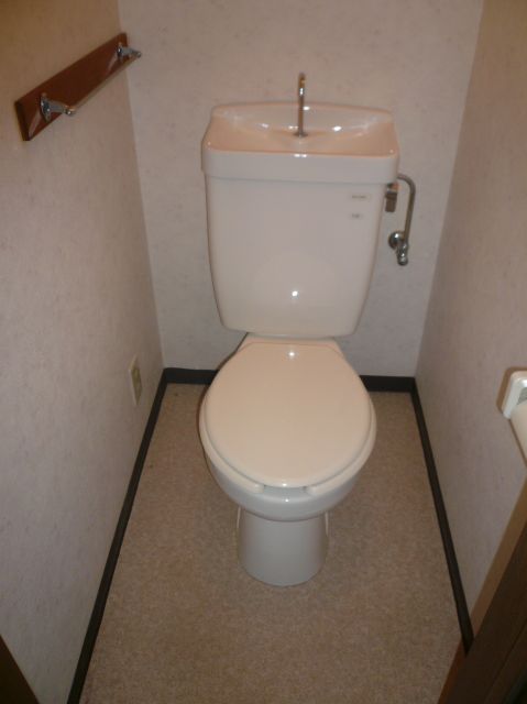 Toilet. It is a toilet with a clean