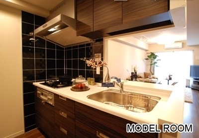 Kitchen. The photograph is a model room.