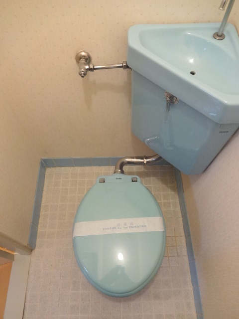 Toilet