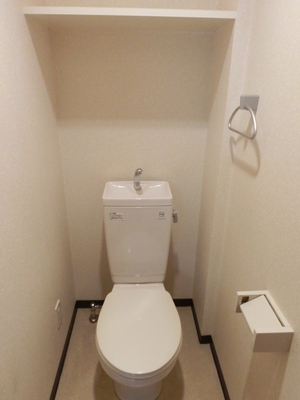 Toilet. Toilet with a shelf