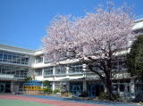 Primary school. 334m to the prince the third elementary school (elementary school)