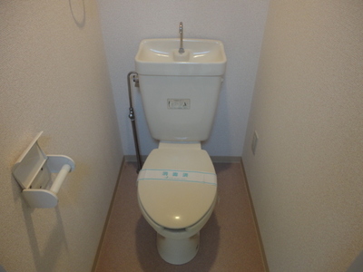 Toilet. Toilet