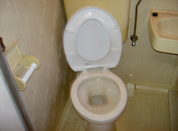 Toilet