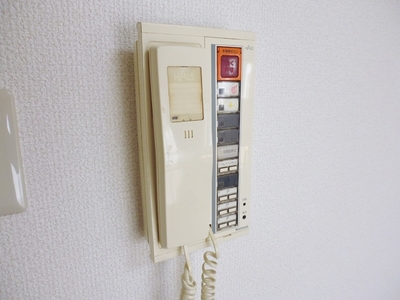 Other. It is safe with intercom ☆