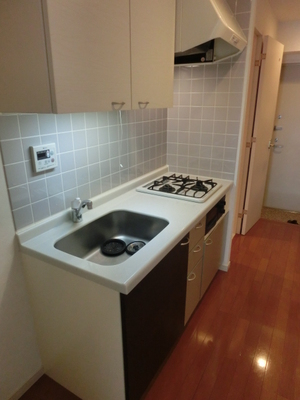 Kitchen. Gas stove 2 burners equipped