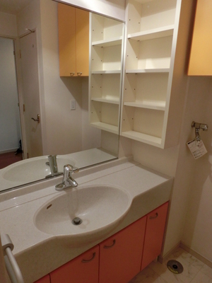 Washroom. Spread of independent wash basin