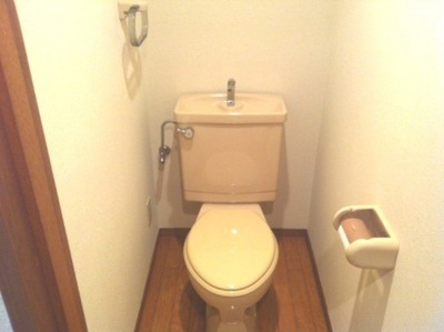 Toilet. It is a photograph of the other rooms, Please reference