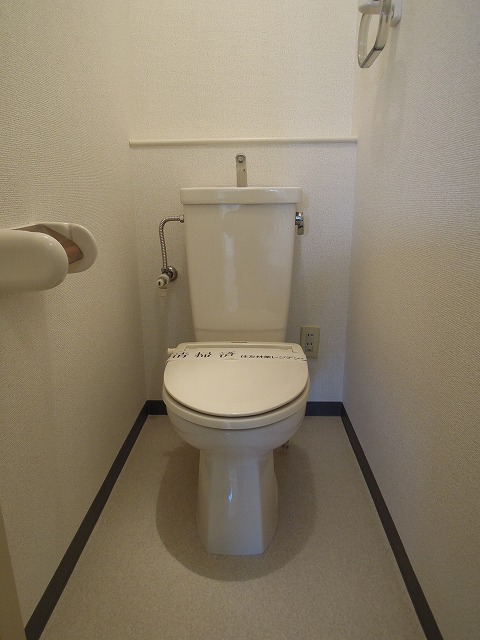 Toilet. Western-style 5 Pledge
