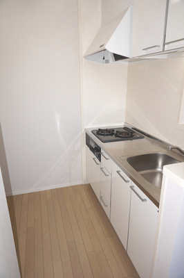 Kitchen. 2-neck Gasukitchin with grill