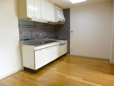 Kitchen. Loose die enough kitchen work space in a two-burner stove installation Allowed