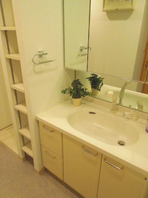 Wash basin, toilet. Washroom (November 2013) Shooting