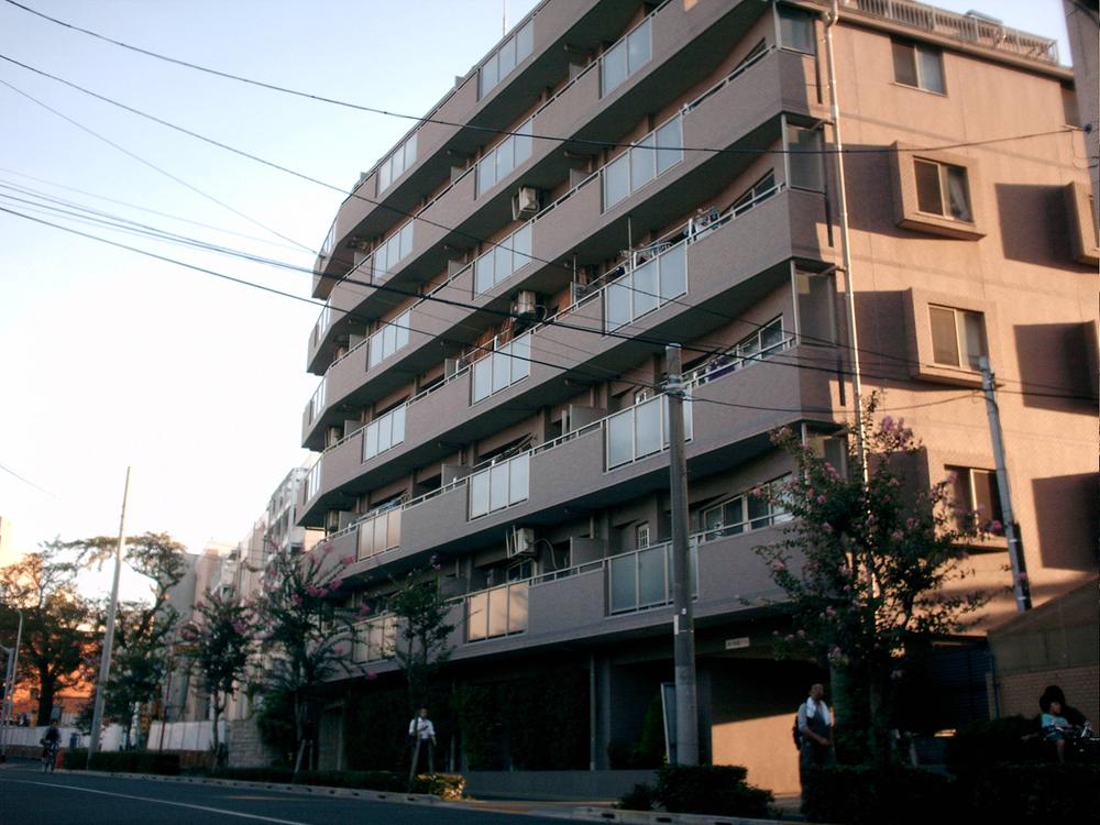 Local appearance photo. Appearance (November 2013) Shooting