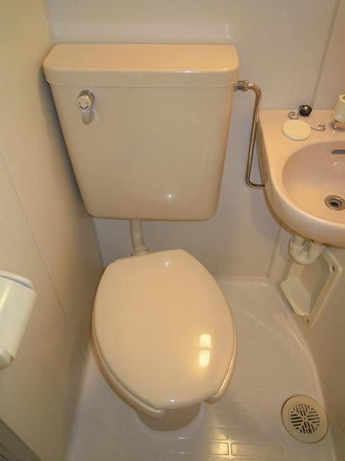 Toilet. Toilet with cleanliness
