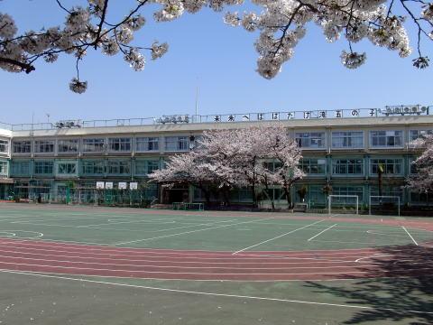Primary school. Takinogawa the 5 150m to elementary school