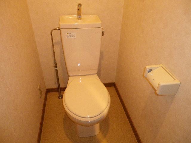 Toilet. Western-style toilet