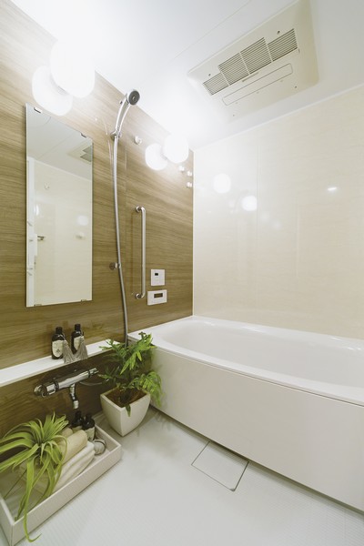 Bathroom rainy day also laundry Hoseru "TES bathroom heating dryer" has been equipped with