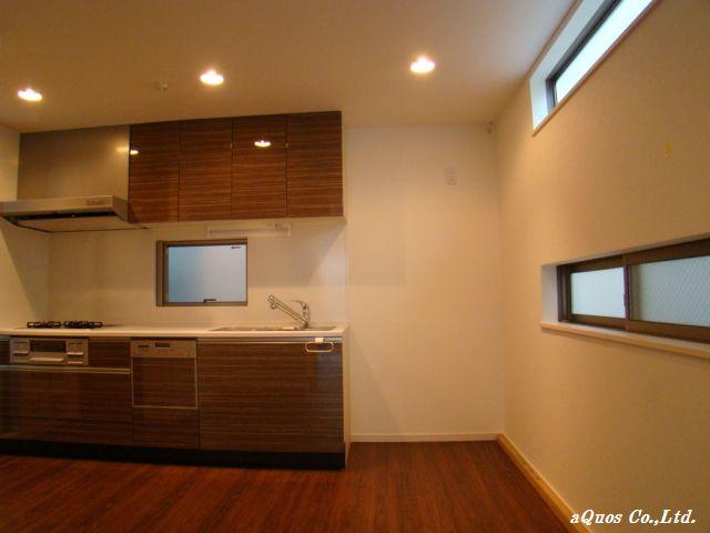 Kitchen. Indoor (12 May 2013) Shooting