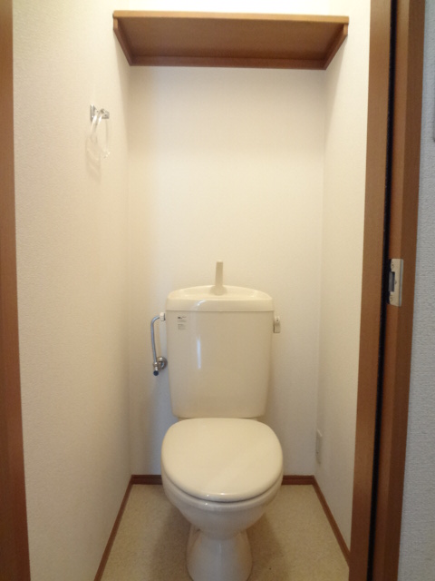 Toilet. Toilet with a clean feeling is with a shelf in the upper part