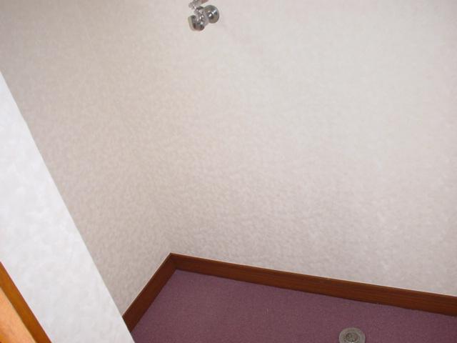 Other room space. Laundry Area