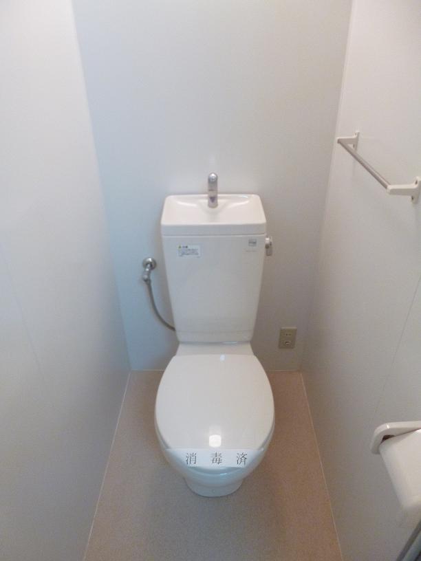 Toilet. Toilet to settle