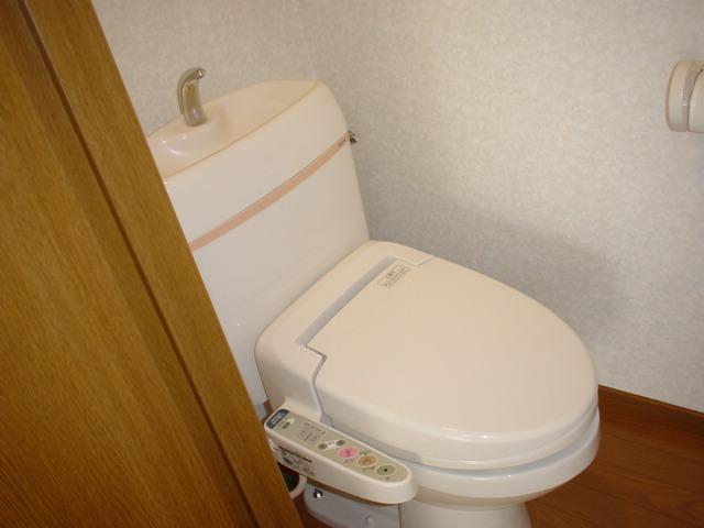 Toilet. Western-style toilet