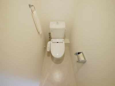Toilet. Model is room