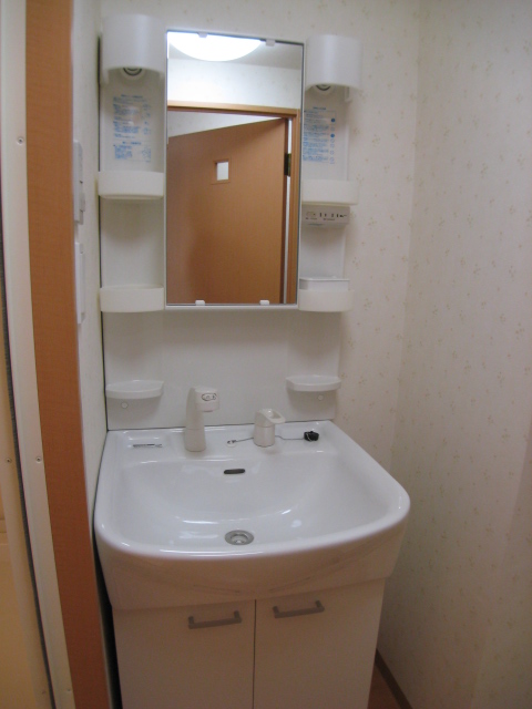 Washroom. Shower Dresser