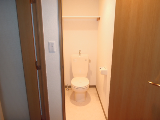 Toilet. Storage rack toilet