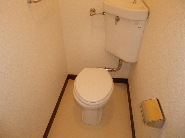 Toilet. Toilet with cleanliness