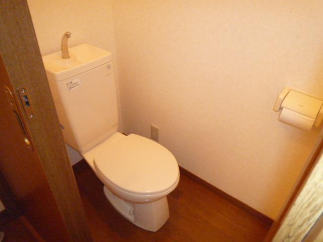 Toilet. Toilet with cleanliness