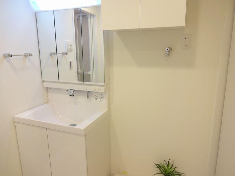 Wash basin, toilet. Bathroom vanity