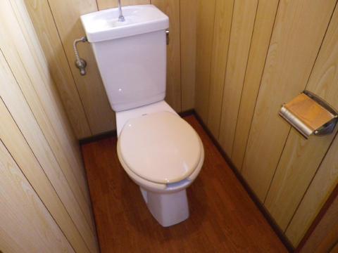 Toilet. Toilet with cleanliness