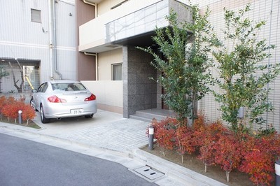 Building appearance. Planting a nice entrance