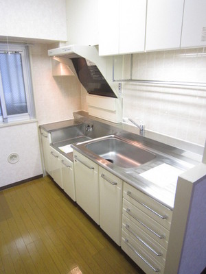 Kitchen. Spacious window with kitchen