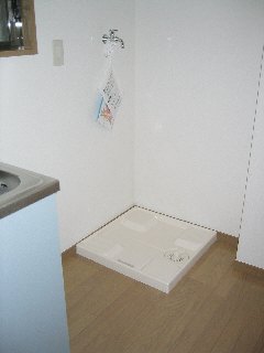 Other room space. Indoor Laundry Storage