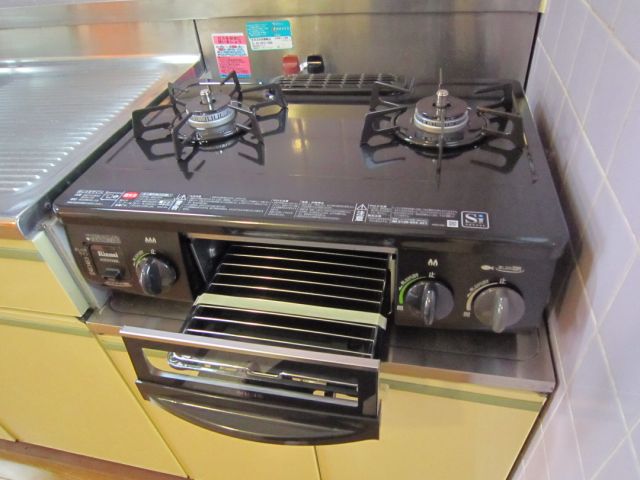 Other. Gas stove