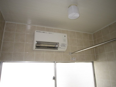 Other. There bathroom heater