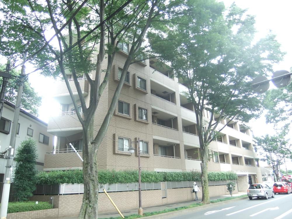 Local appearance photo. Local (June 2013) Shooting