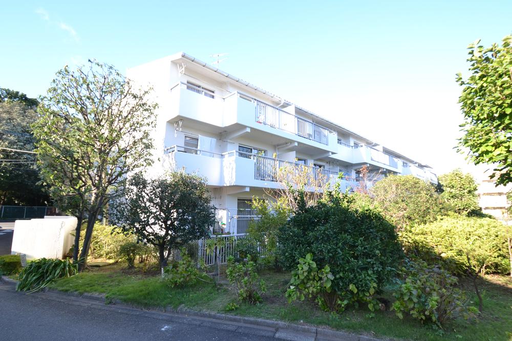 Local appearance photo. Local (09 May 2013) Shooting