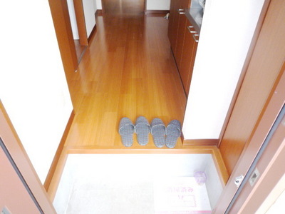 Entrance. It is muted colors of the room