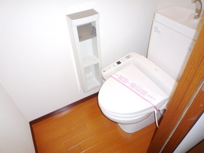 Toilet. Warm water washing toilet seat