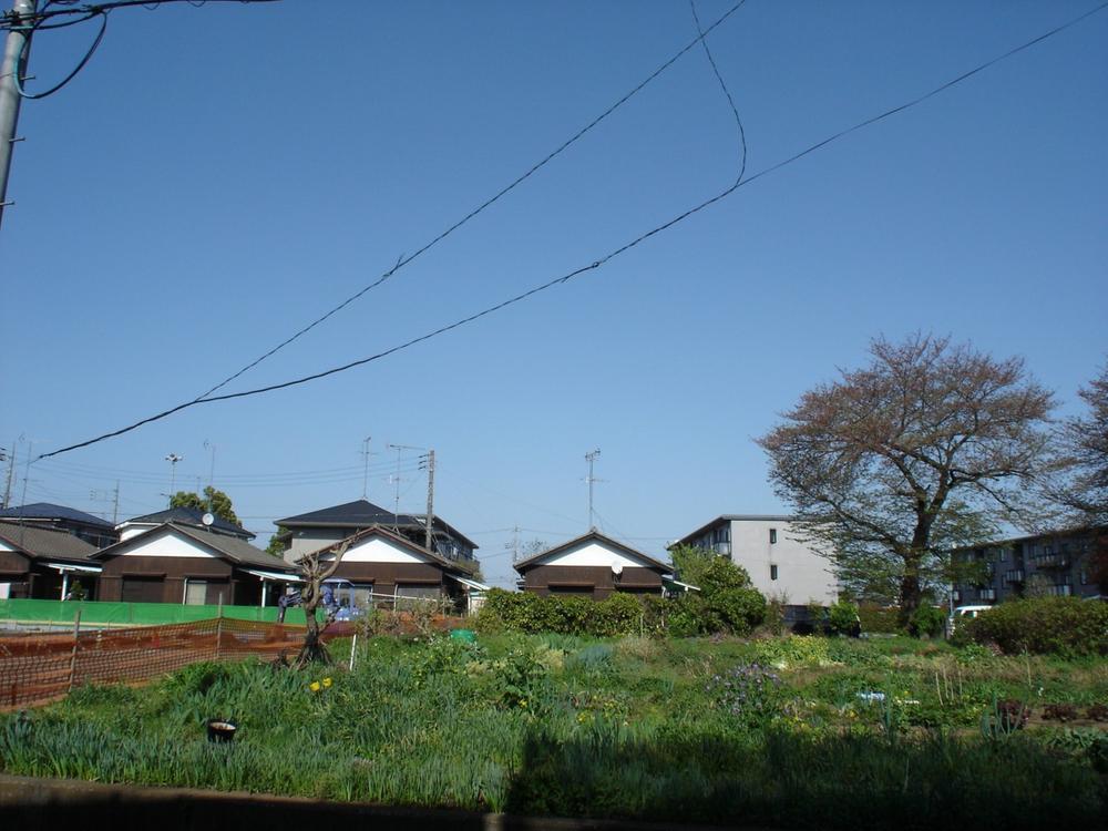 Other local. Local (April 2013) Shooting