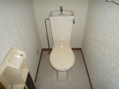 Toilet. Toilet with cleanliness