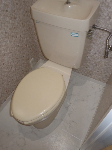Toilet. Planned changes to the hot-water cleaning toilet seat